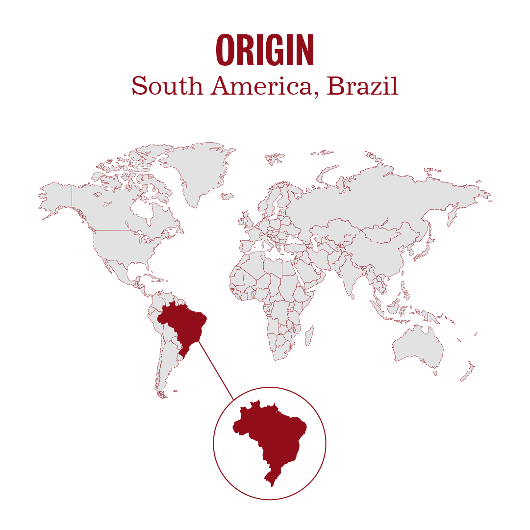 Brazil Sul De Minas