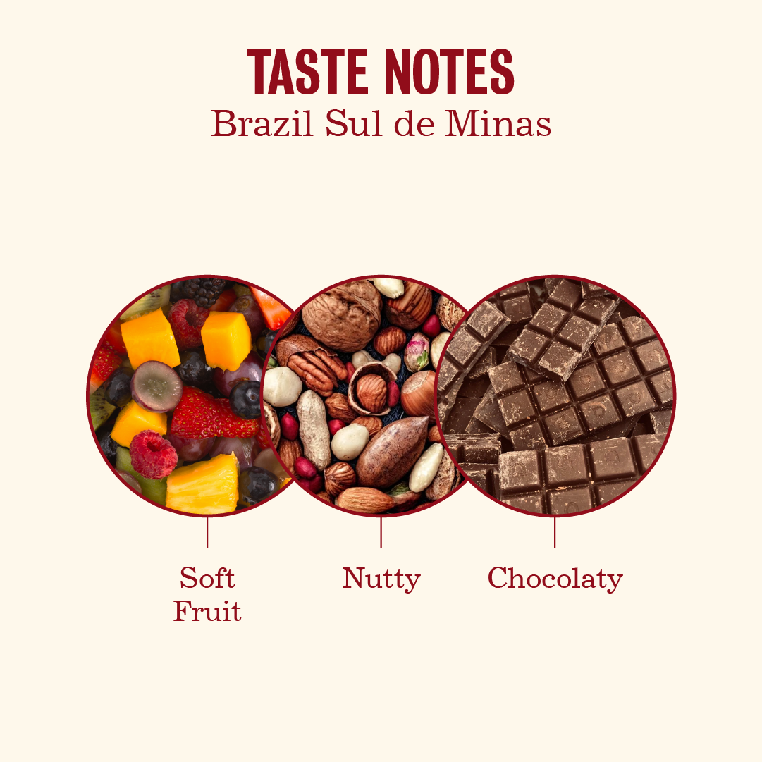 Brazil Sul De Minas