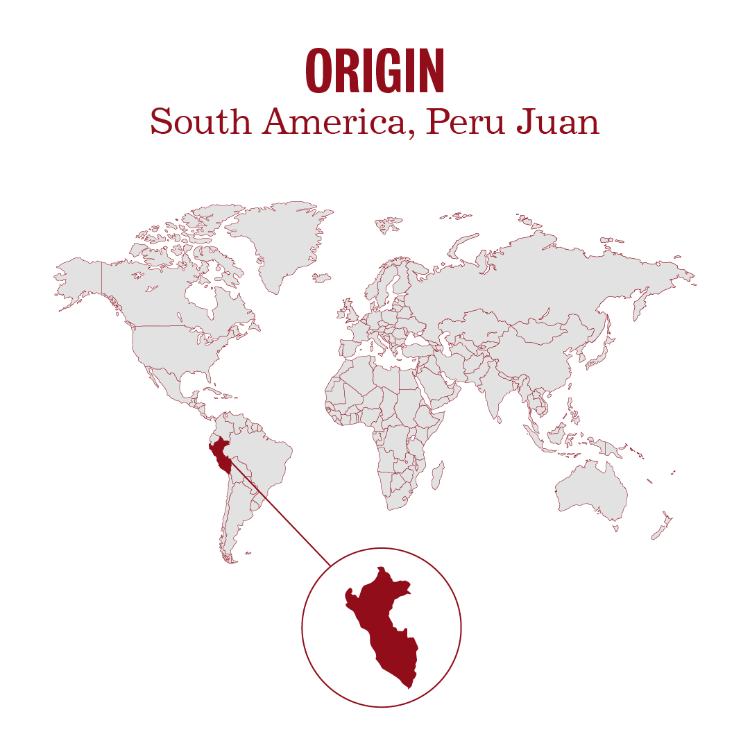 Peru Juan Marco-ORGANIC
