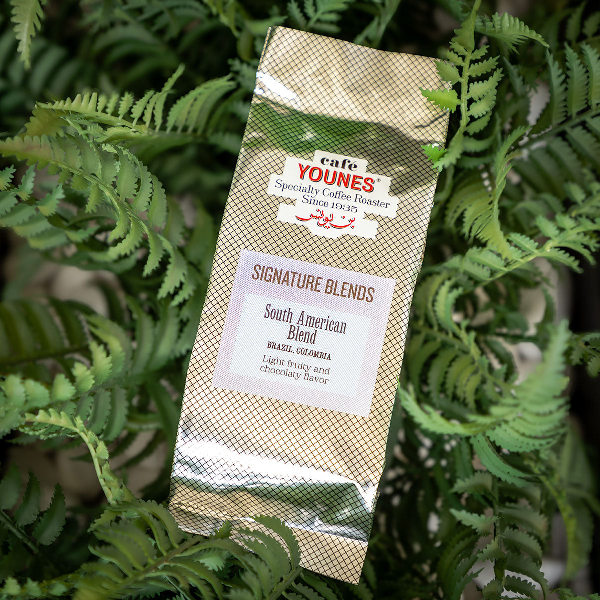 South American Blend