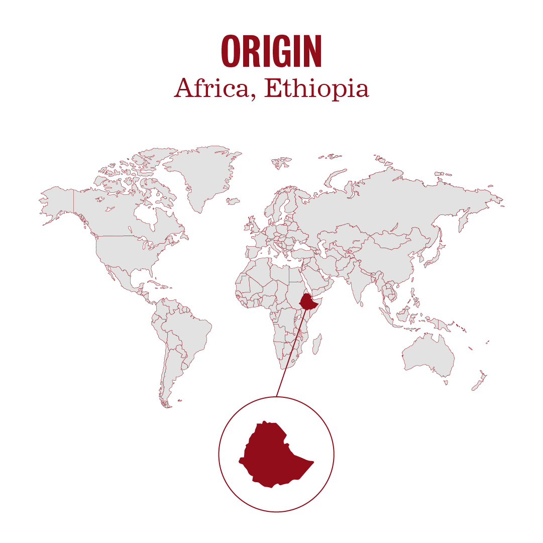 Ethiopia Yirgacheffe