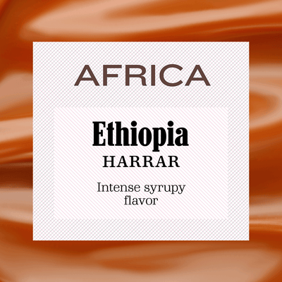 Ethiopia Harrar