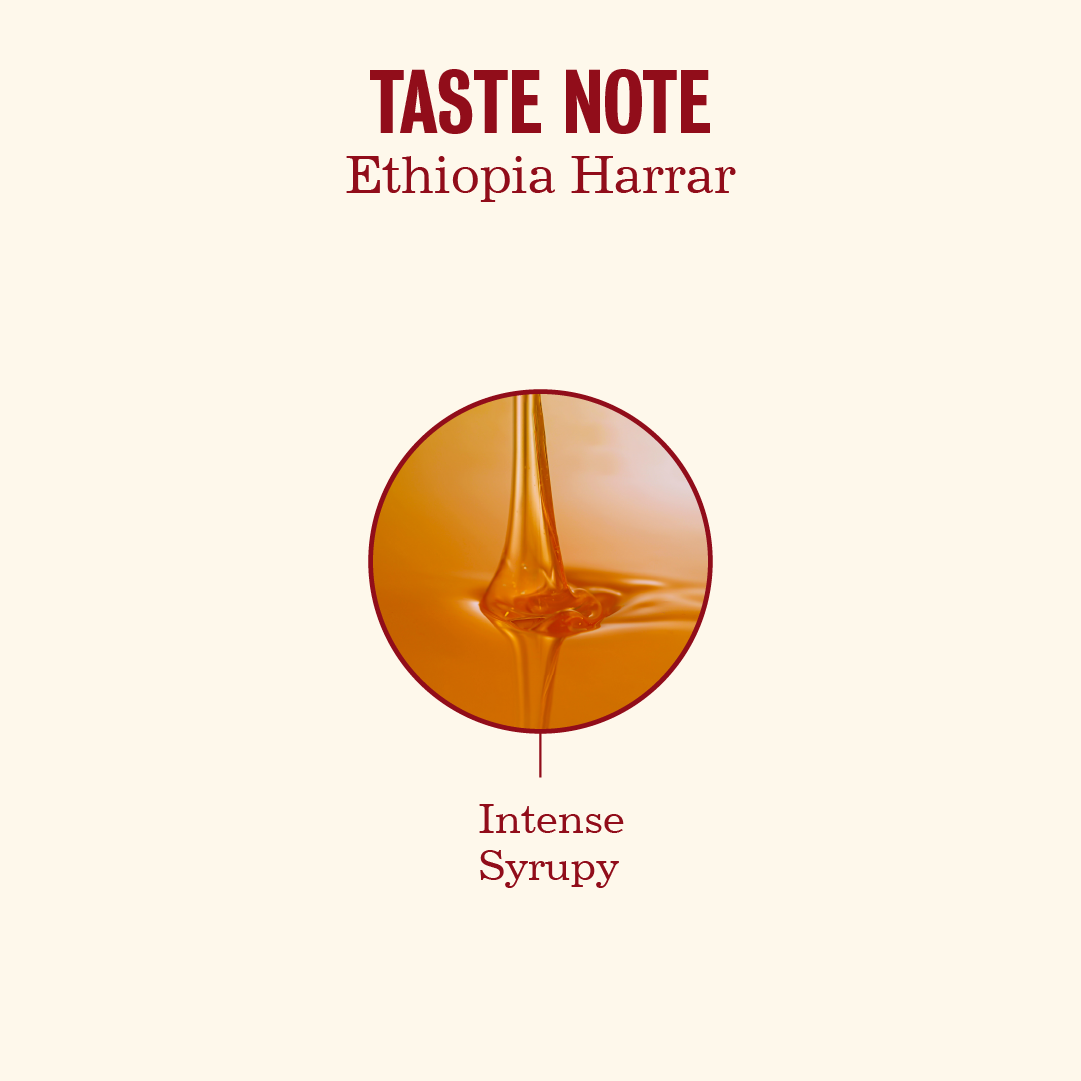 Ethiopia Harrar