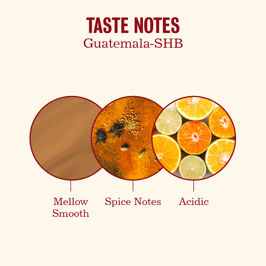 Guatemala SHB