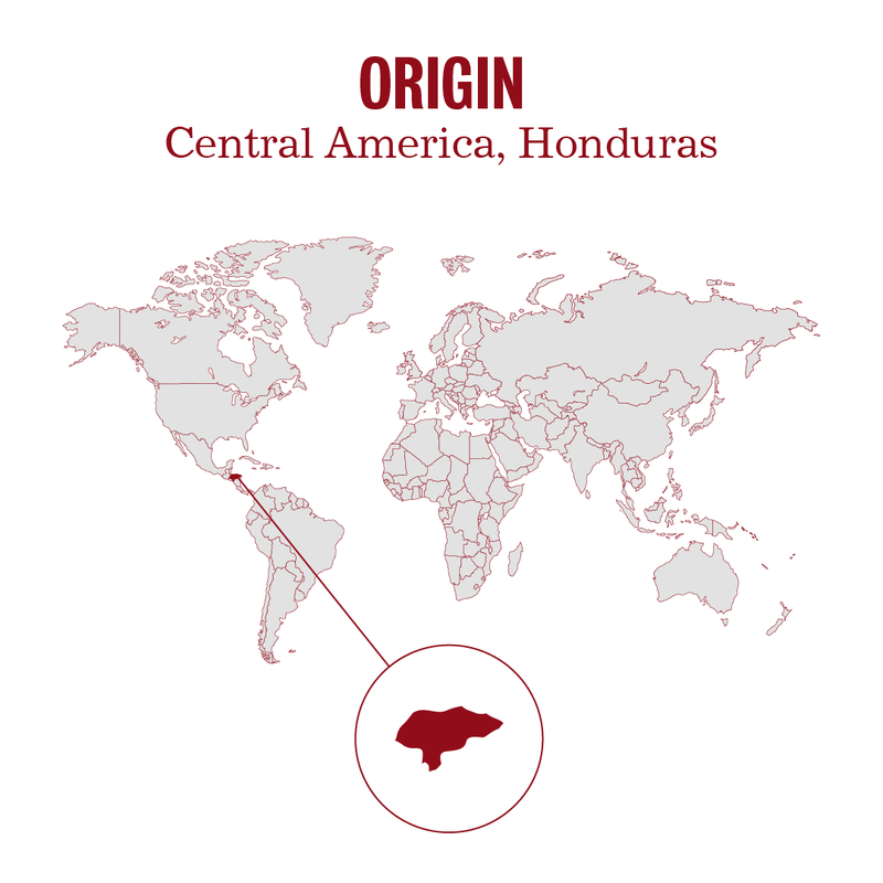 Honduras SHG Fair Trade