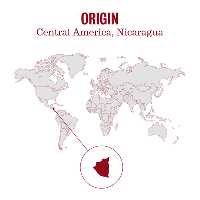 Nicaragua Matagalpa